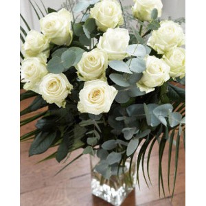 ˲������� 