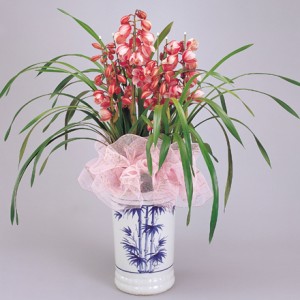 ����˳��