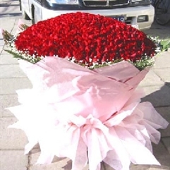 ޾İ