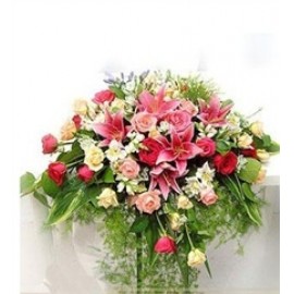 ��������01LOGO