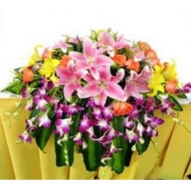 ��������02LOGO