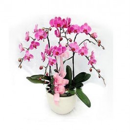 ӭ������LOGO