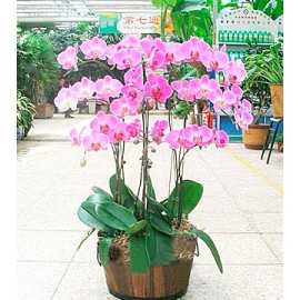 ��ֲ/��������ܰ��ף��LOGO