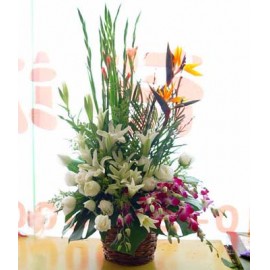 ����ף��   LOGO