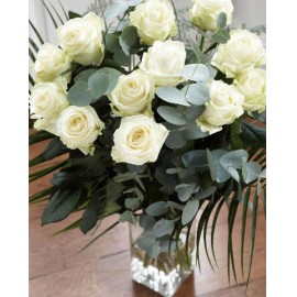 ˲������� LOGO