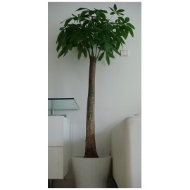 ������LOGO