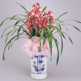 ����˳��LOGO