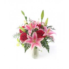 ��������LOGO