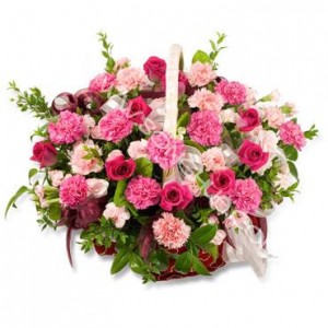 �ȶ�����