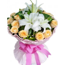 ��֤����LOGO