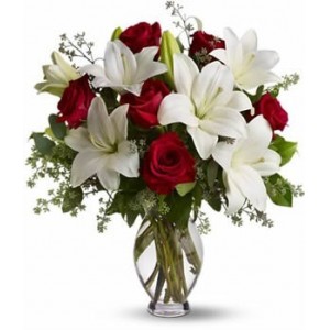 ��ů��ף��