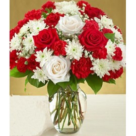 ��Զ�Ҹ�LOGO