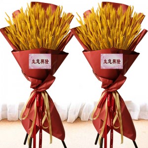 ����/���˺�ͨ