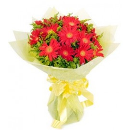 ��������LOGO