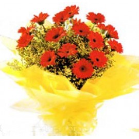 �������� LOGO