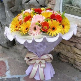 ��������LOGO