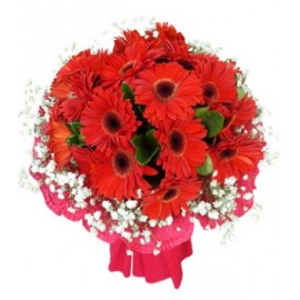 ���õ�����LOGO