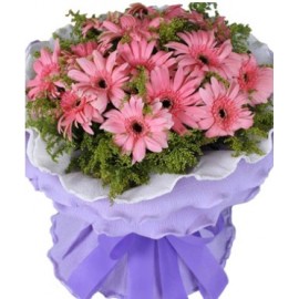 ����İ�LOGO