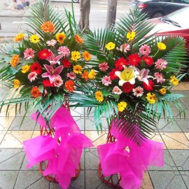 ��������LOGO